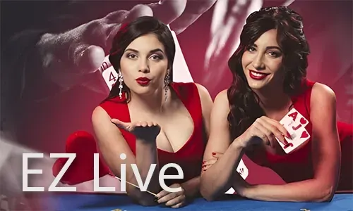 24/7 Live Support